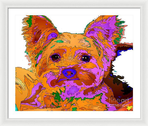 Framed Print - Buddy The Baby. Pet Series