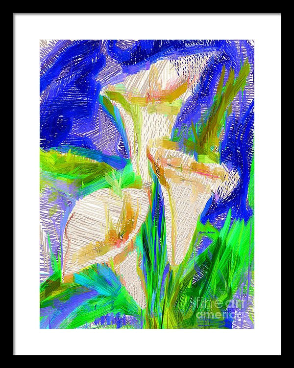 Framed Print - Cala Lillies