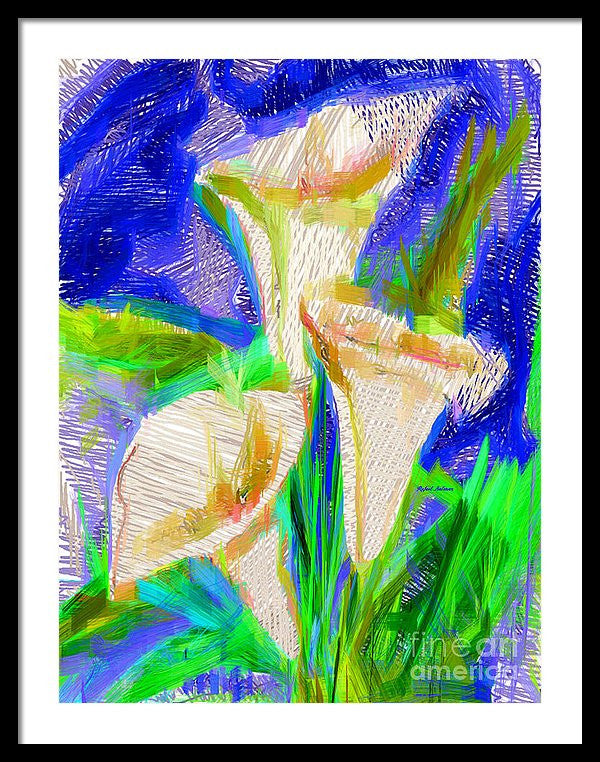 Framed Print - Cala Lillies