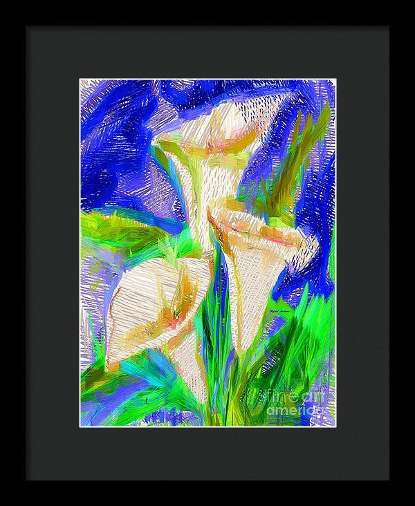 Framed Print - Cala Lillies