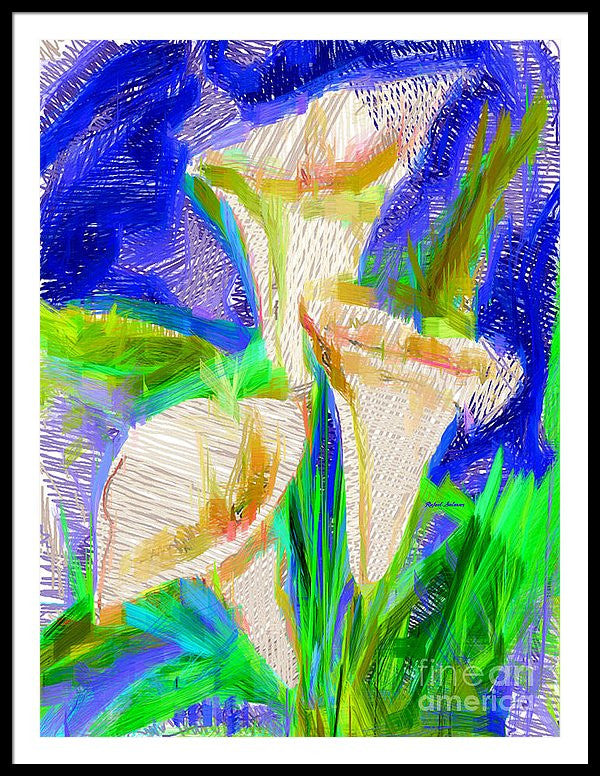 Framed Print - Cala Lillies