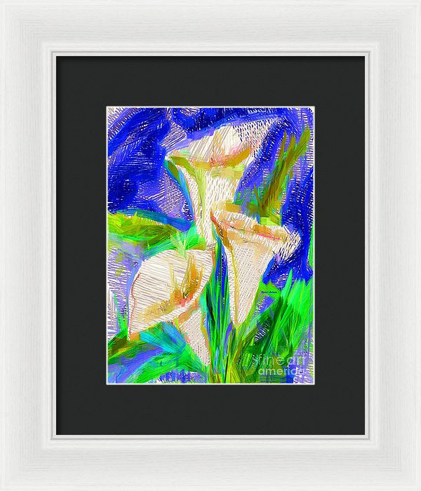 Framed Print - Cala Lillies