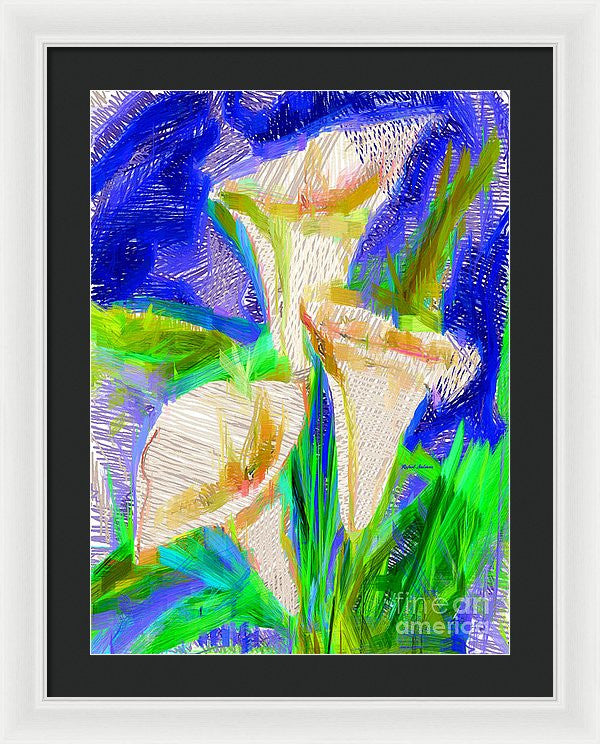 Framed Print - Cala Lillies