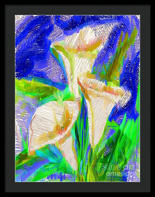 Framed Print - Cala Lillies