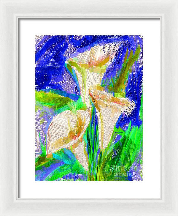 Framed Print - Cala Lillies