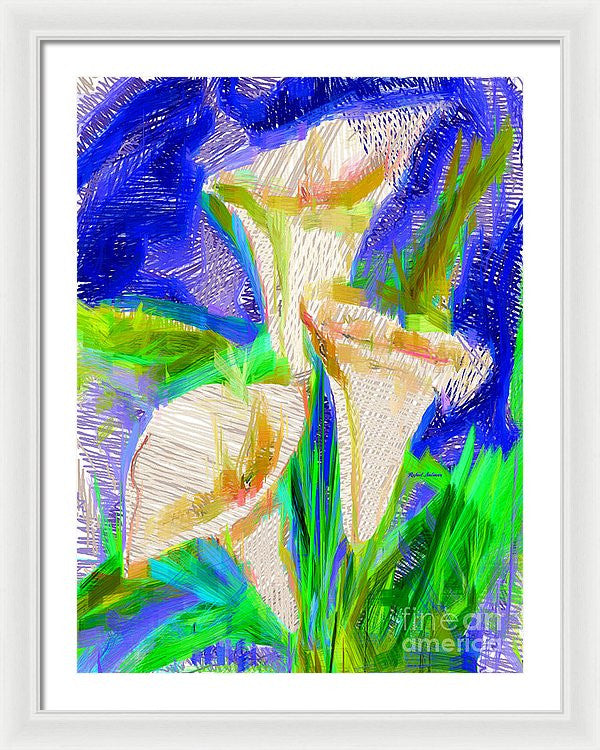 Framed Print - Cala Lillies