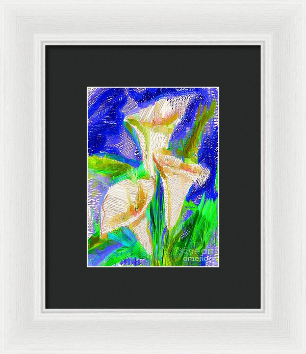 Framed Print - Cala Lillies