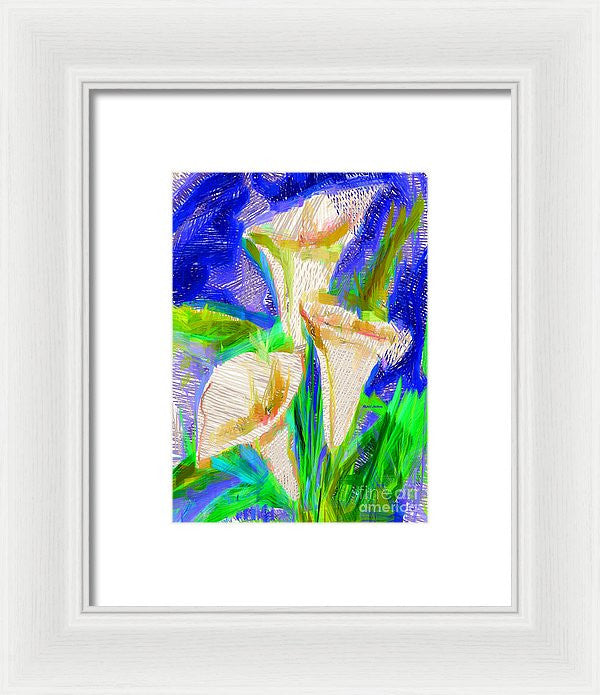 Framed Print - Cala Lillies