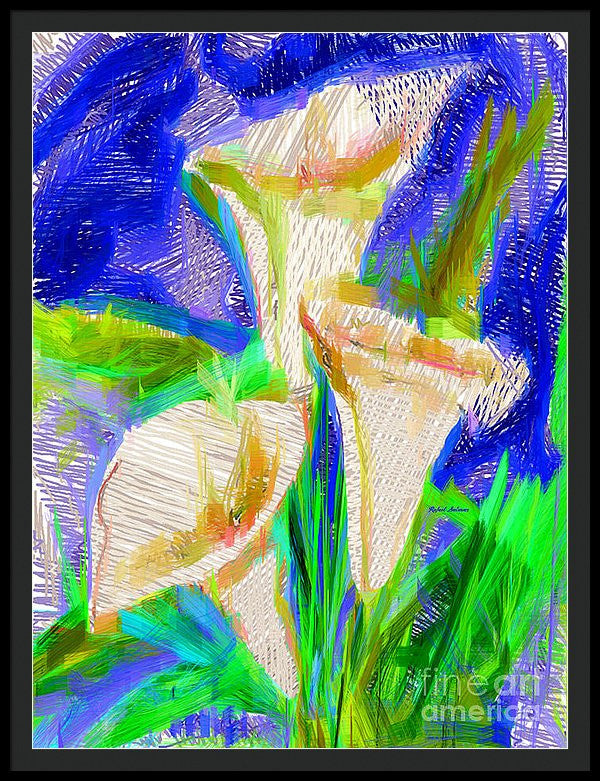 Framed Print - Cala Lillies