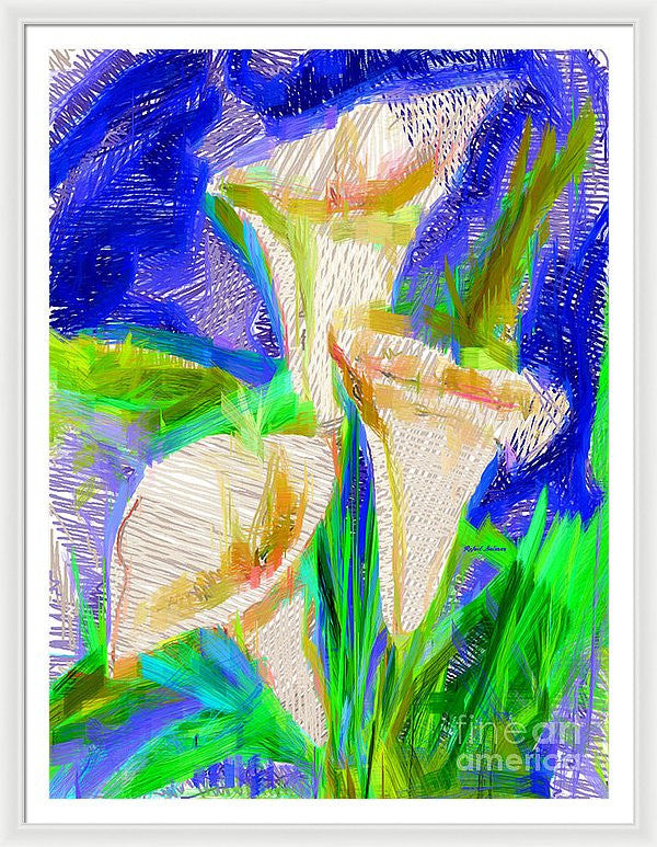 Framed Print - Cala Lillies