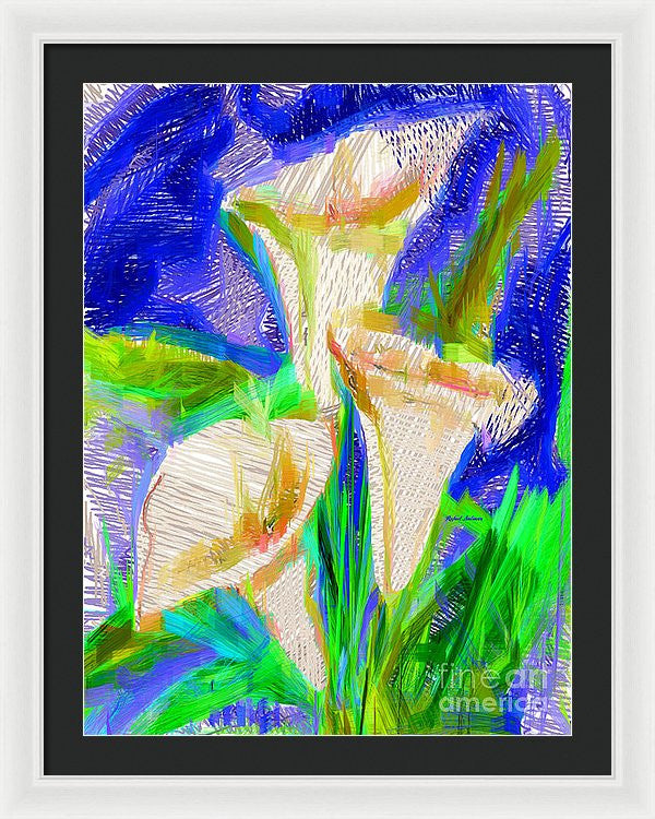 Framed Print - Cala Lillies