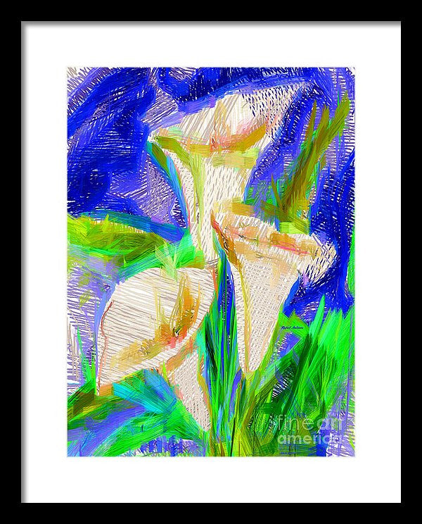 Framed Print - Cala Lillies