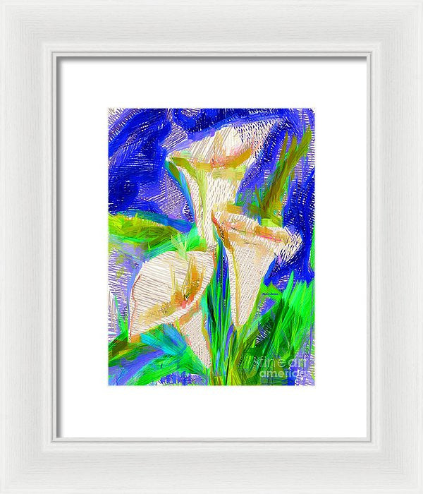 Framed Print - Cala Lillies