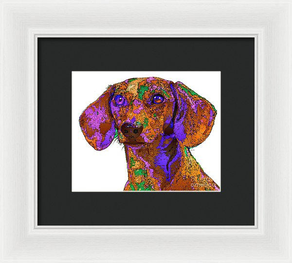 Framed Print - Chloe. Pet Series