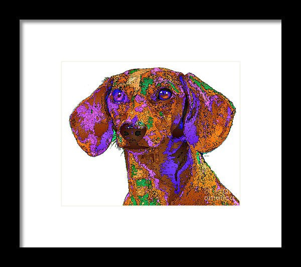 Framed Print - Chloe. Pet Series