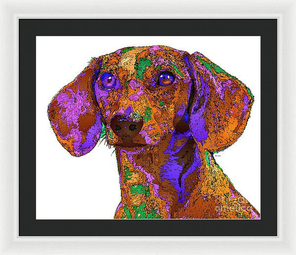 Framed Print - Chloe. Pet Series