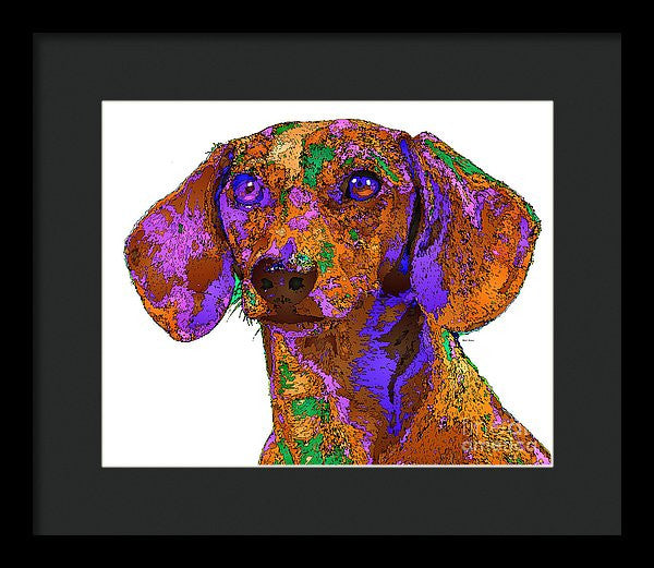 Framed Print - Chloe. Pet Series