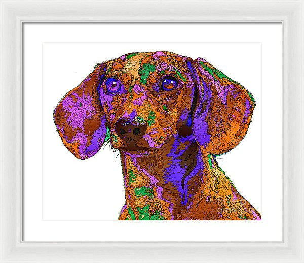 Framed Print - Chloe. Pet Series