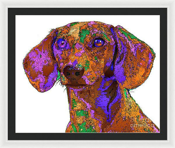 Framed Print - Chloe. Pet Series