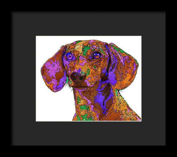 Framed Print - Chloe. Pet Series