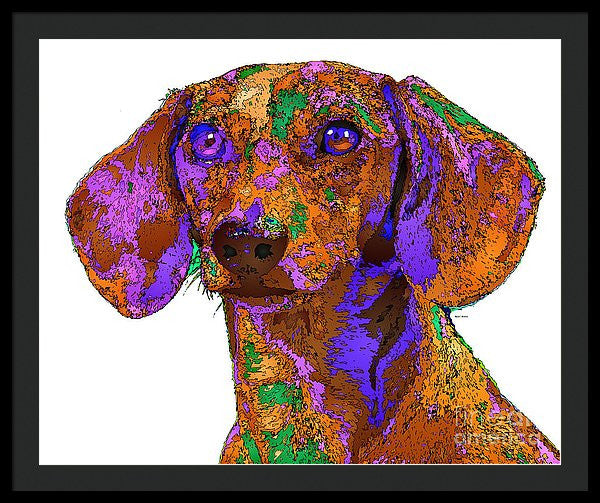 Framed Print - Chloe. Pet Series