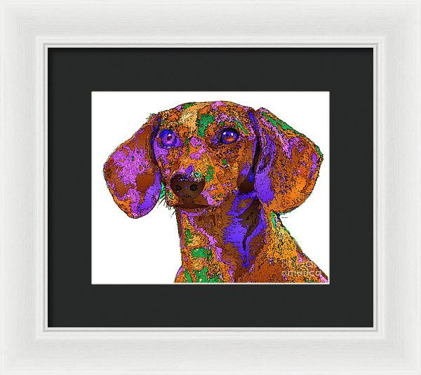 Framed Print - Chloe. Pet Series