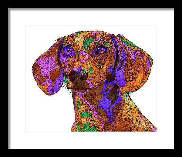 Framed Print - Chloe. Pet Series