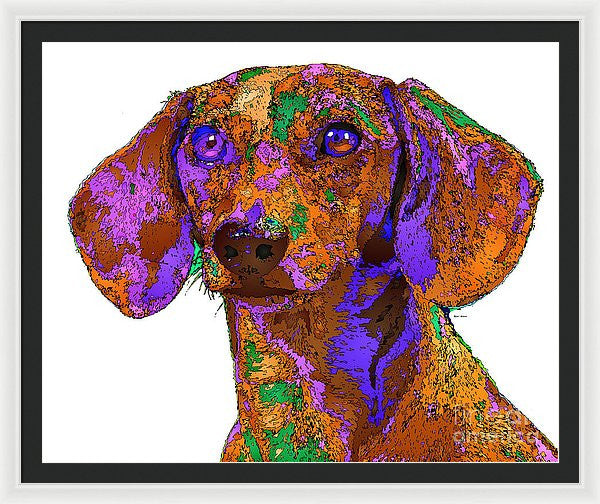 Framed Print - Chloe. Pet Series