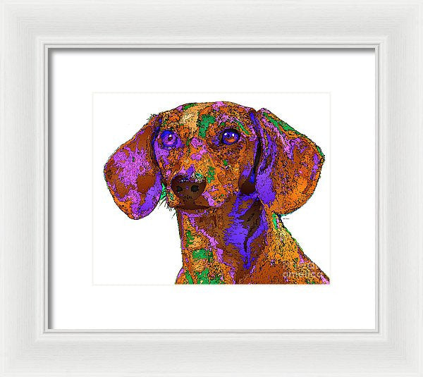 Framed Print - Chloe. Pet Series