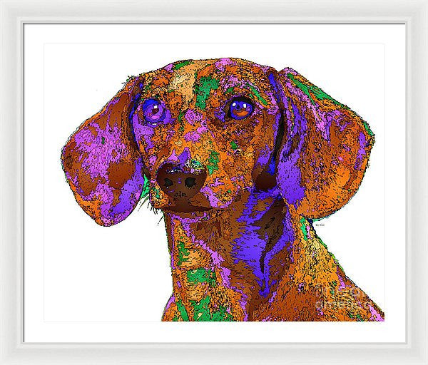 Framed Print - Chloe. Pet Series