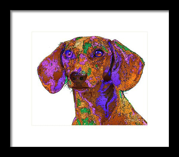 Framed Print - Chloe. Pet Series