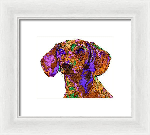 Framed Print - Chloe. Pet Series