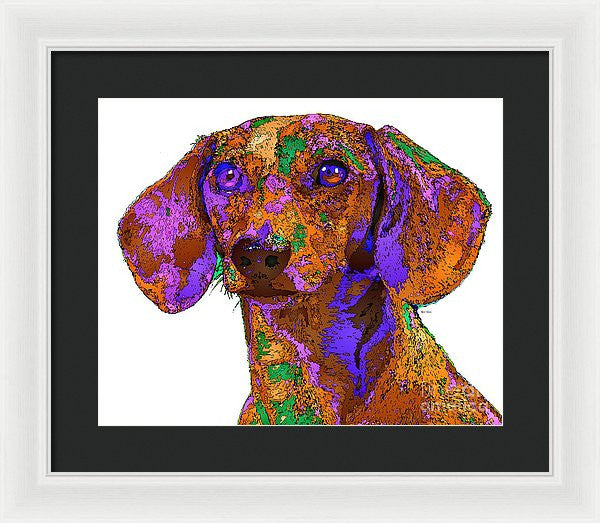 Framed Print - Chloe. Pet Series