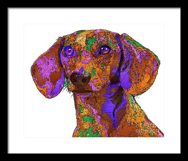 Framed Print - Chloe. Pet Series