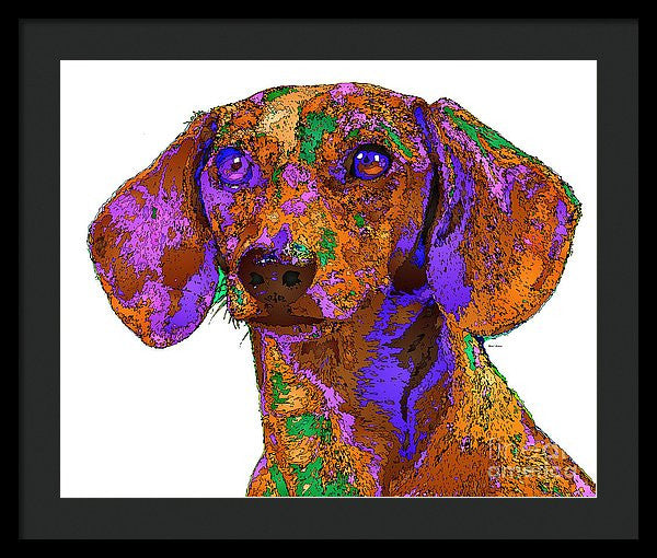 Framed Print - Chloe. Pet Series