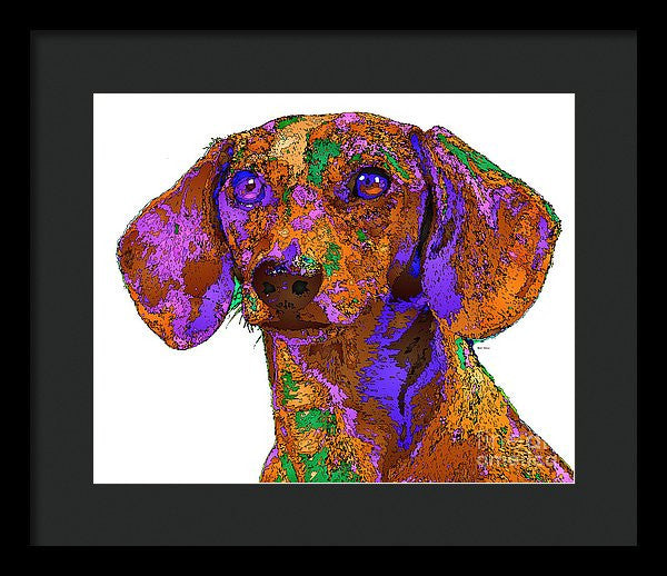 Framed Print - Chloe. Pet Series