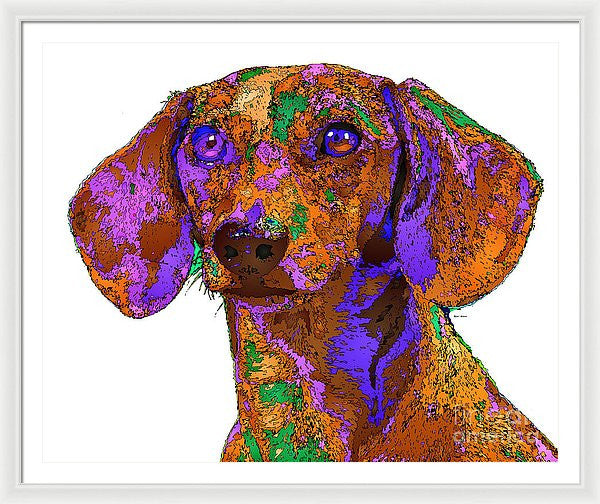 Framed Print - Chloe. Pet Series