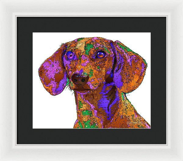 Framed Print - Chloe. Pet Series