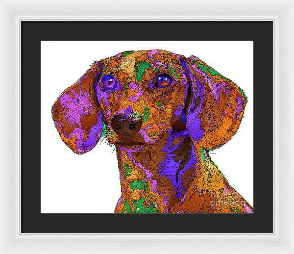 Framed Print - Chloe. Pet Series