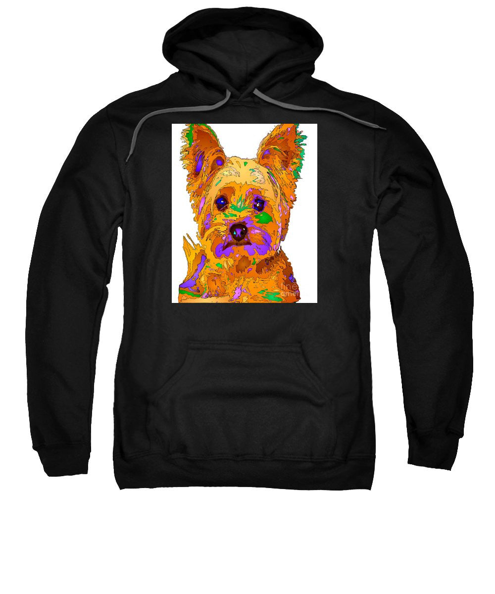 Sweat-shirt - Cupcake The Yorkie. Série pour animaux de compagnie