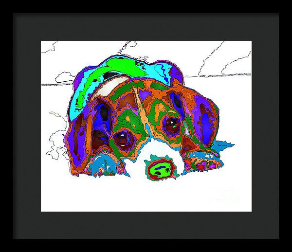 Framed Print - Do You Want To Take A Nap? Pet Series