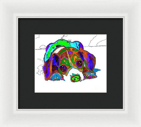 Framed Print - Do You Want To Take A Nap? Pet Series