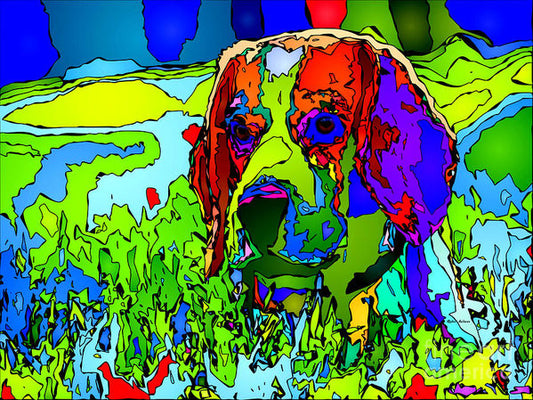 Art Print - Dogs Can See In Color
