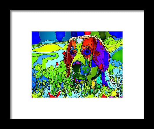 Framed Print - Dogs Can See In Color