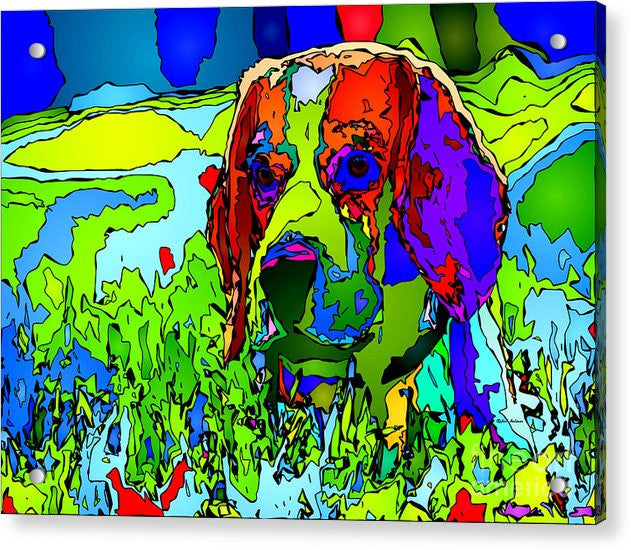 Acrylic Print - Dogs Can See In Color