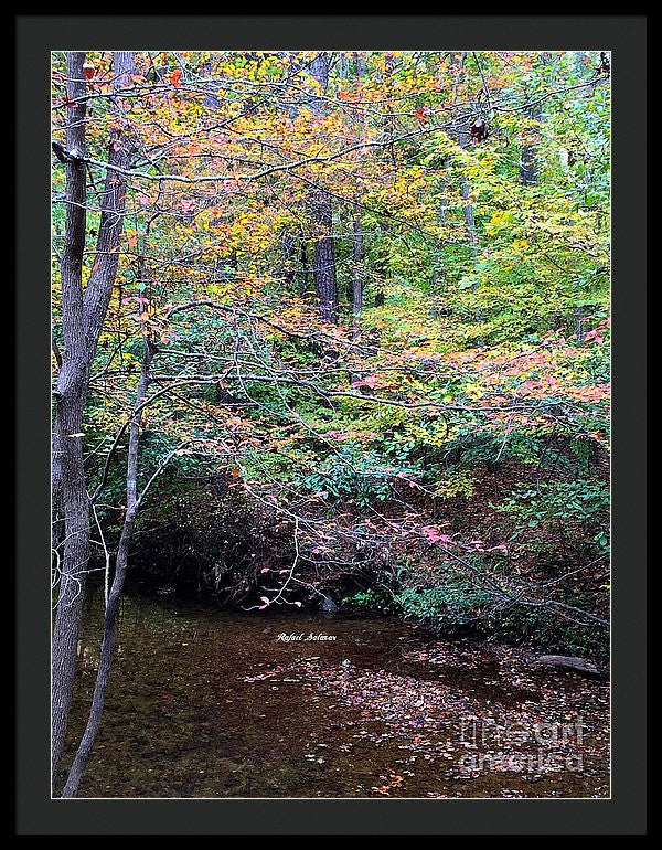 Framed Print - Dream Woods In Georgia