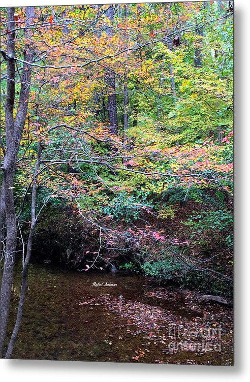 Metal Print - Dream Woods In Georgia