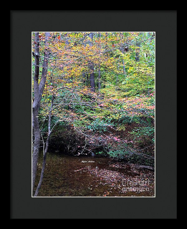 Framed Print - Dream Woods In Georgia