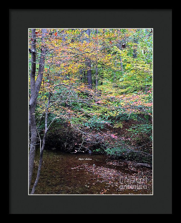 Framed Print - Dream Woods In Georgia