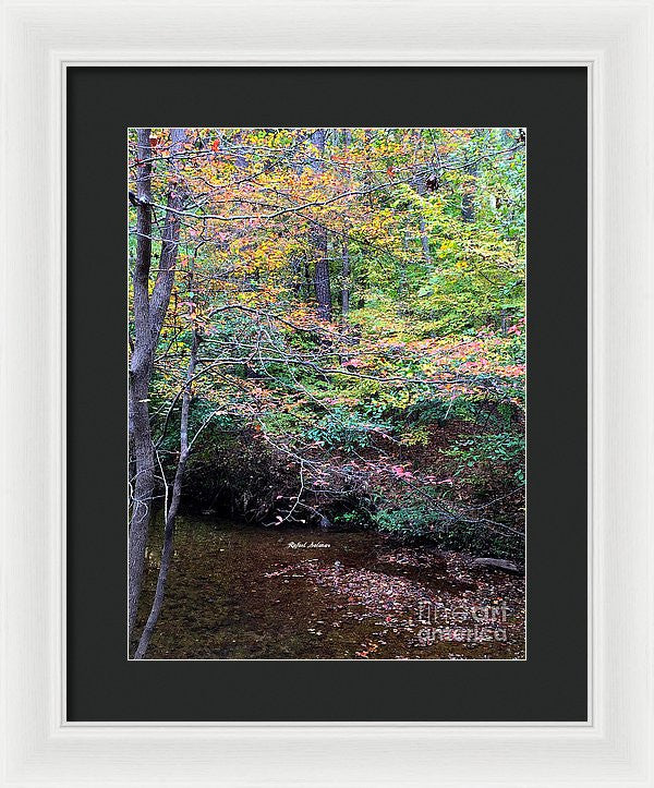 Framed Print - Dream Woods In Georgia